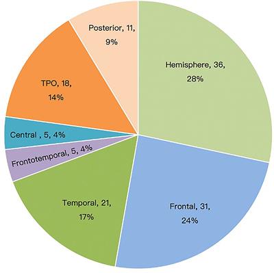 Lesional Intractable Epileptic Spasms in Children: Electroclinical Localization and Postoperative Outcomes